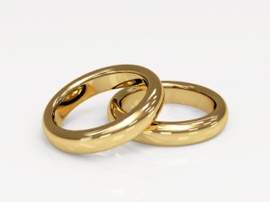 wedding ring vows - gold rings alone